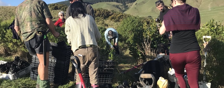 Tree Planting Day 2021