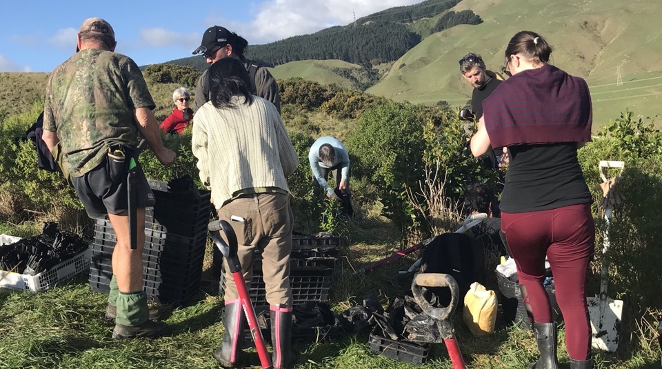 Tree Planting Day 2021