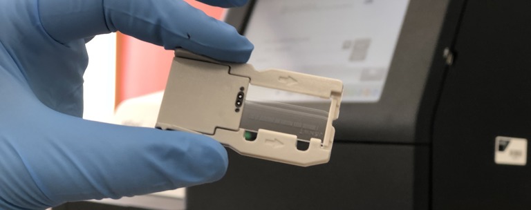Miseq Havelock