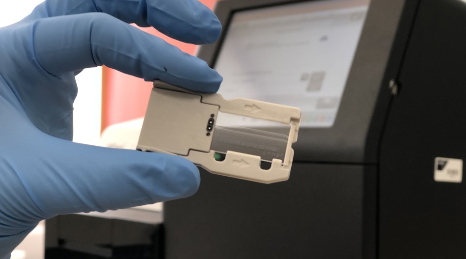 Miseq Havelock