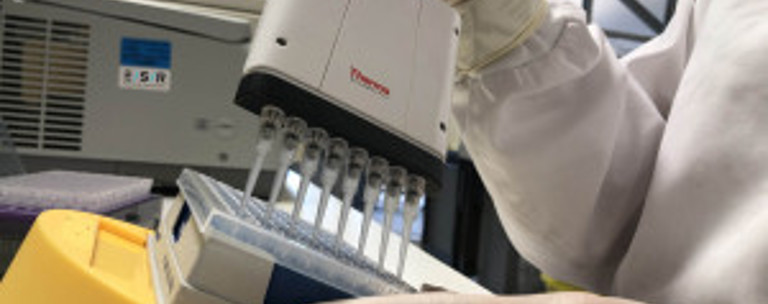 ESR Scientist Preparing A Polymerase Chain Reaction Test As Part Of Diagnostic Laboratory Testing For 2019 Novel Coronavirus Fitwzmwmcwzmdbd 2020