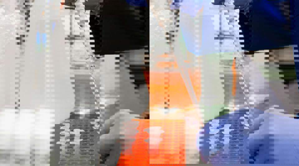 Lab Image 2