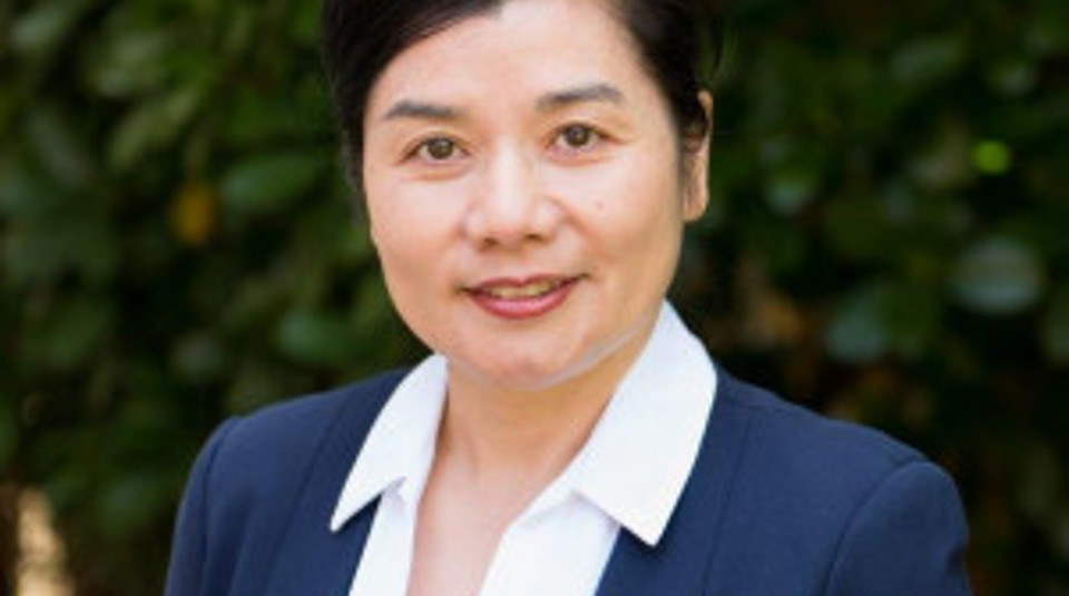Sue Huang1 2018