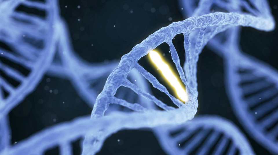 dna-genomics-esr-graphic
