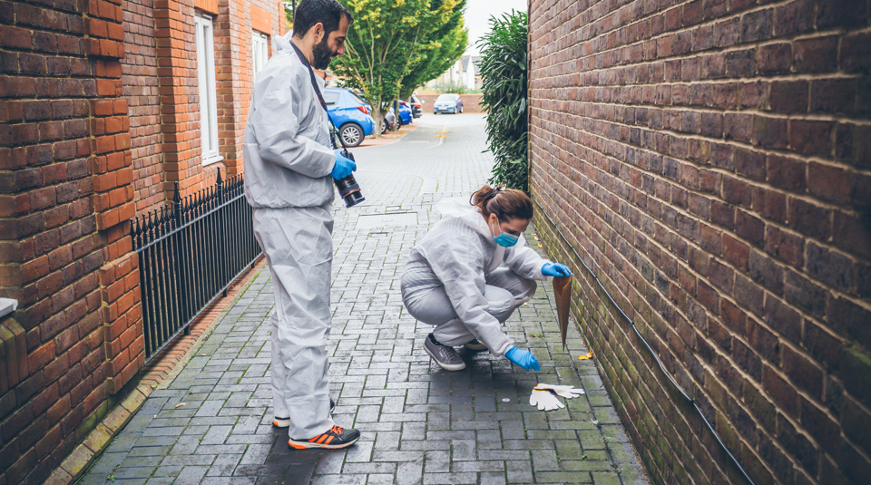 Forensic Awareness Training