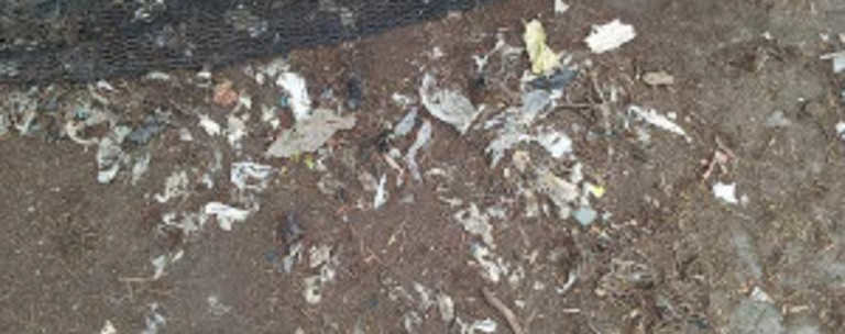 Microplastics Compost 2018