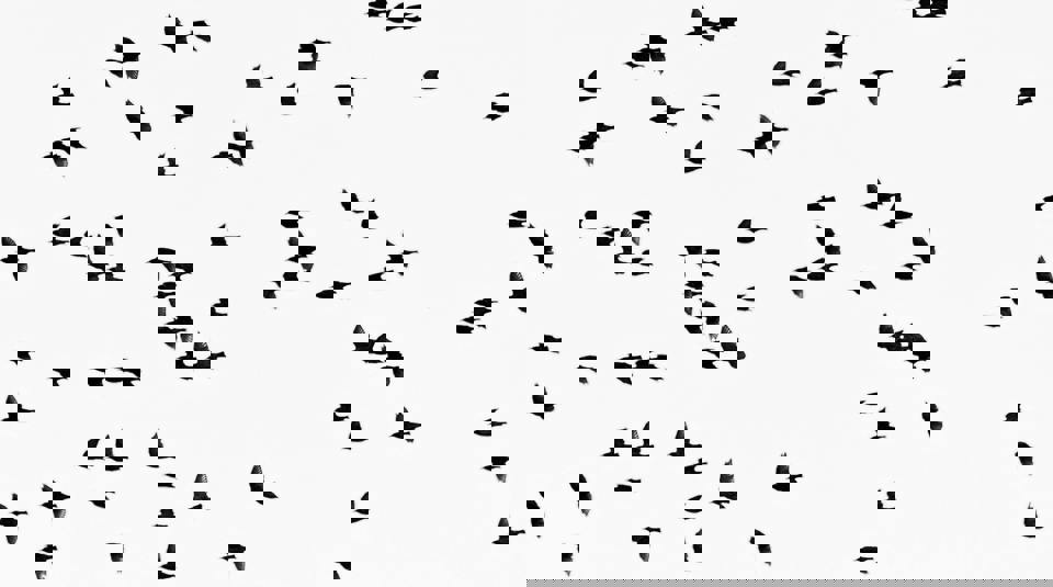 Birds Avian Flu Esr
