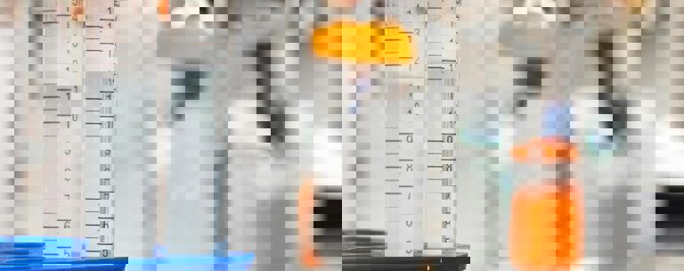 Lab Image 3