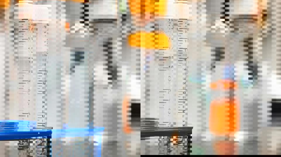 Lab Image 3