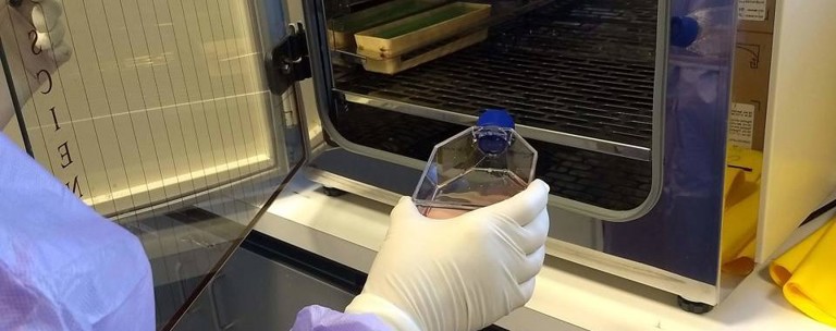 Covid Biobank Esr