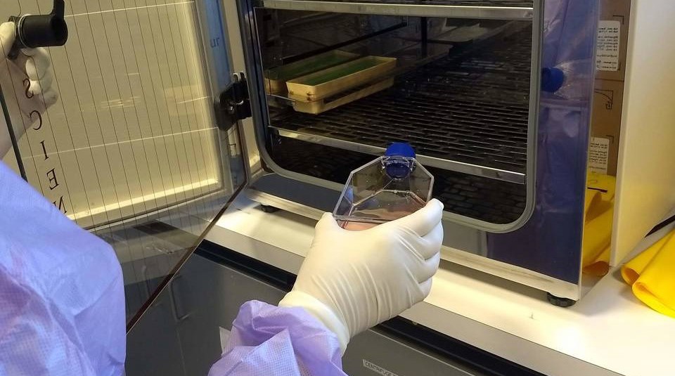 Covid Biobank Esr