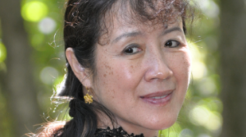 Liping Pang ESR3 2018