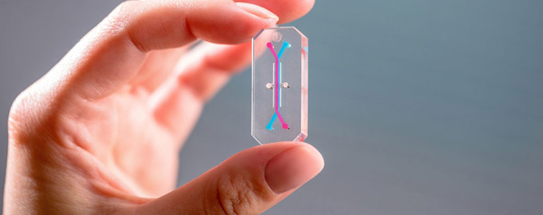 Organ On Chip Esr