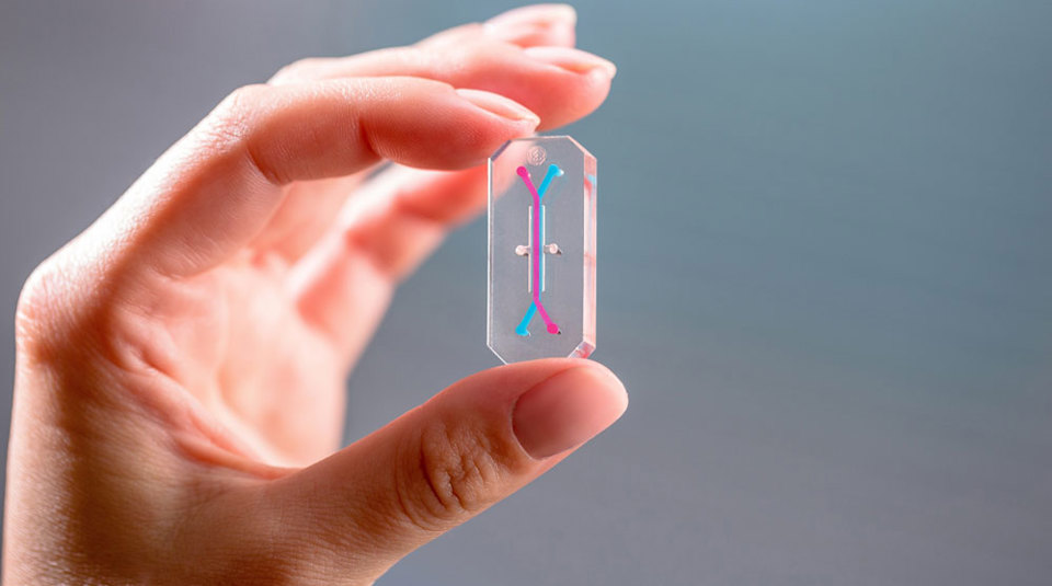 Organ On Chip Esr