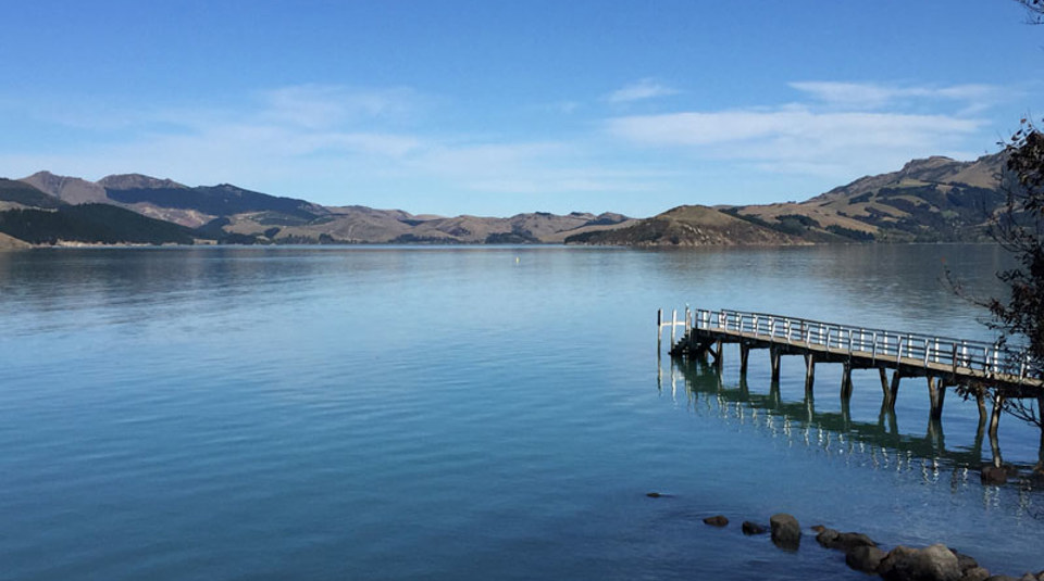 Improving Understanding Of Food Safety Risks Associated With Mahinga Kai