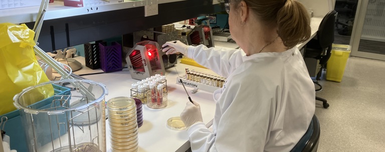 Enteric Reference Lab