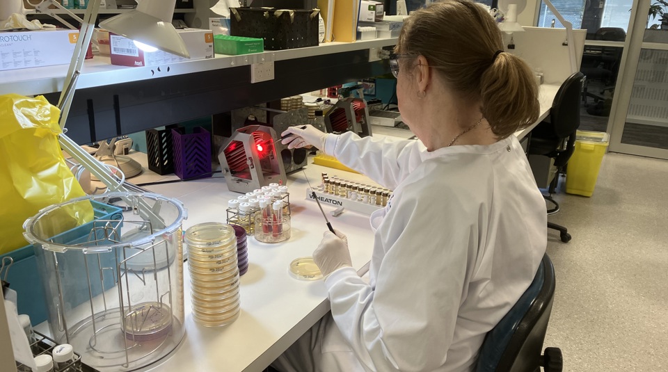 Enteric Reference Lab