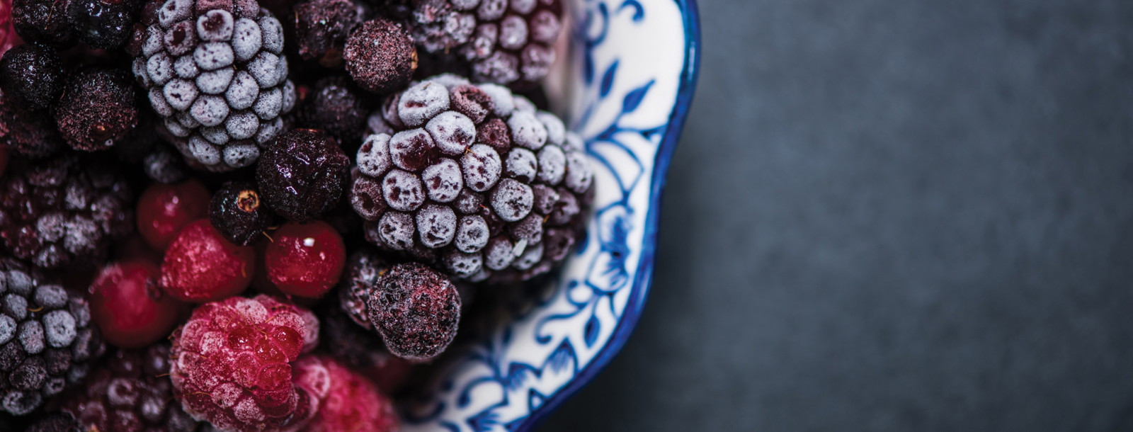 Food & product safety header