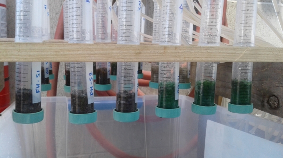 Smashing Brew Green Glass Grounwater
