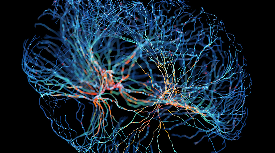 Data science block header
