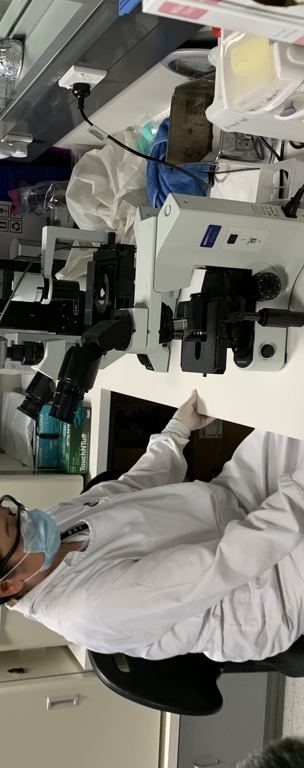 IMMUNE CELLS PRESENT LONG BEFORE INFECTION PREDICT FLU SYMPTOMS