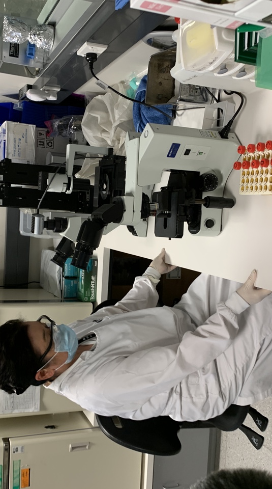 IMMUNE CELLS PRESENT LONG BEFORE INFECTION PREDICT FLU SYMPTOMS