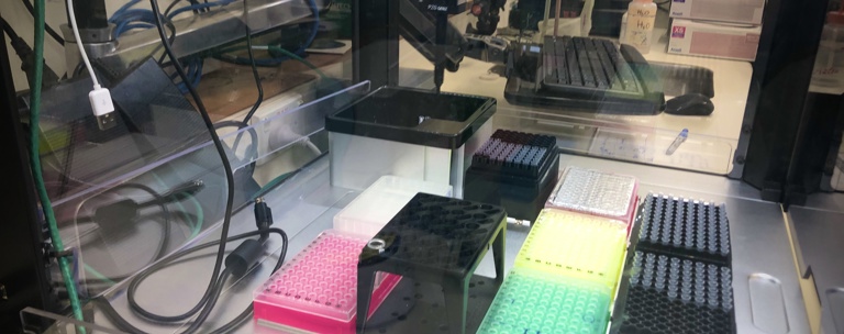 Genome Sequence Machine Esr