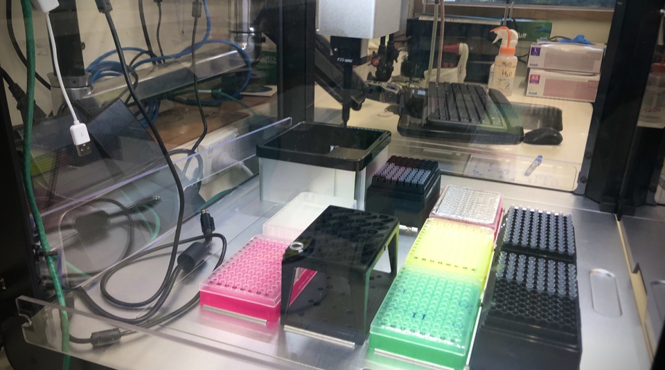 Genome Sequence Machine Esr