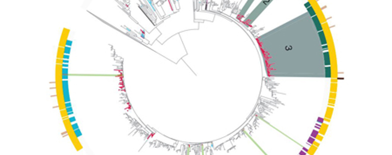 Genomics Aotearoa