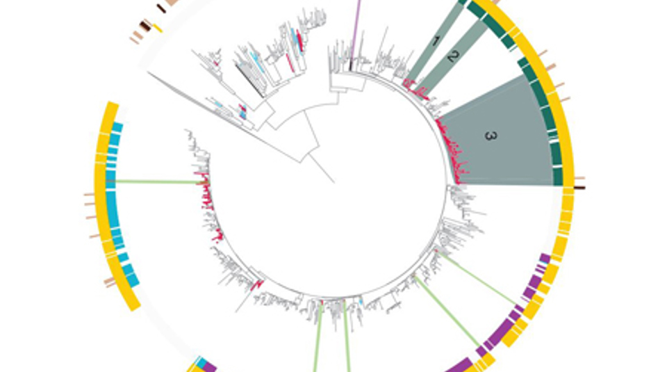 Genomics Aotearoa