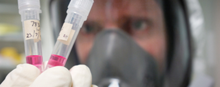 ESR’S Virus Hunters