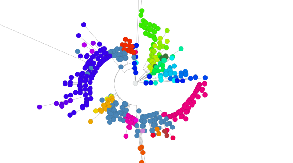 Microreact Tree