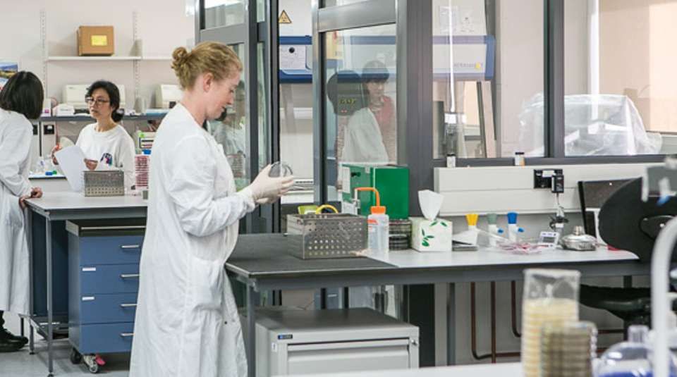 Health Lab Ksc