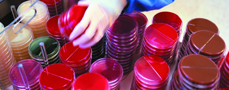 Managing The Risk Of Emerging Organic Contaminants