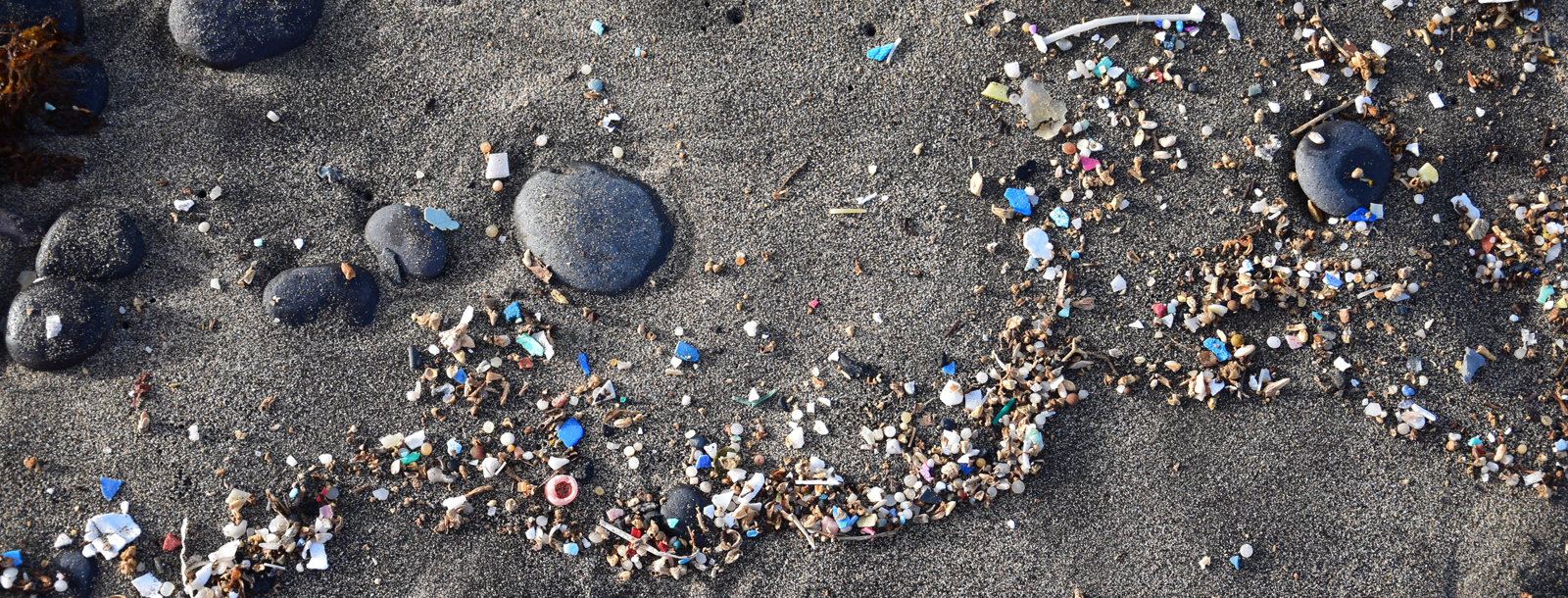 Microplastics header